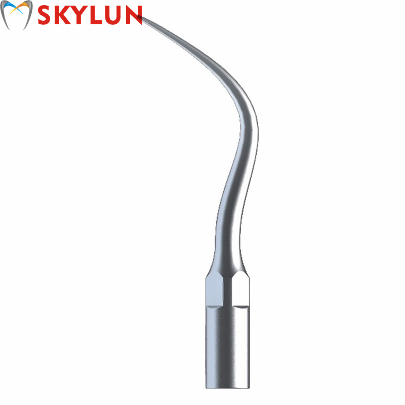 Dental Scaler Ultrasonic - หัวขัดฟันอัลตราโซนิก P4 สำหรับทันตกรรม 5 ชิ้น หัวขัดสำหรับฟอกสีฟัน