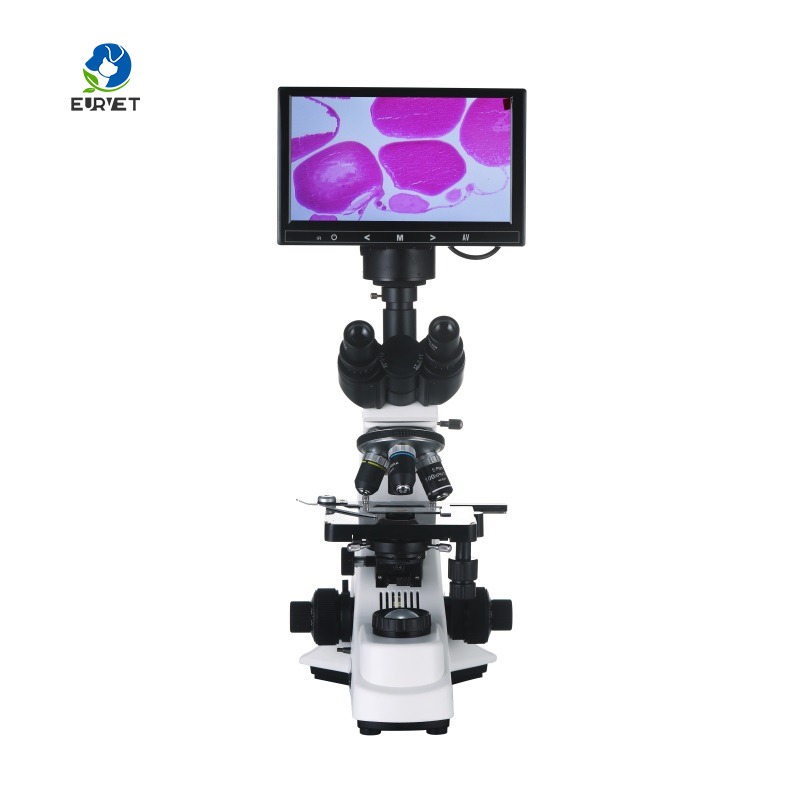 กล้องจุลทรรศน์ชีวภาพดิจิทัลสำห - Medical Laboratory Scientist บทวิจารณ์และราคา
